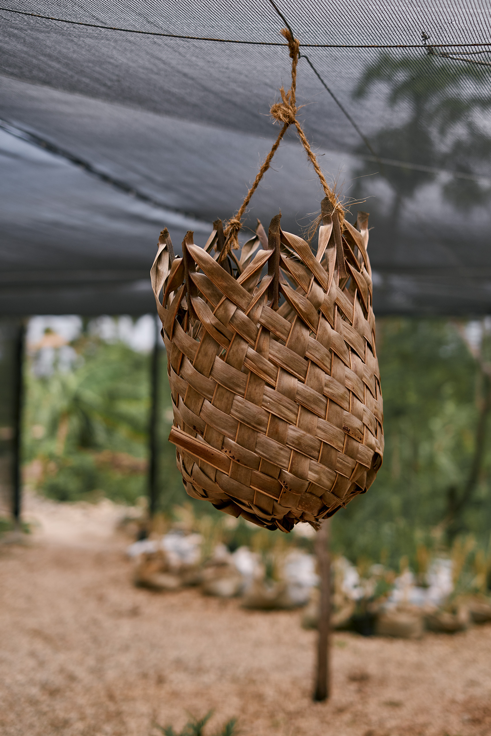 Kizikula, Kizimkazi, Zanzibar
